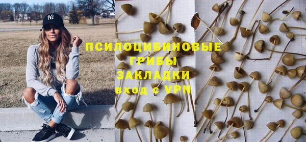 мескалин Арсеньев
