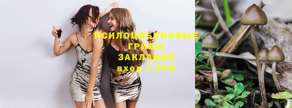 мескалин Арсеньев