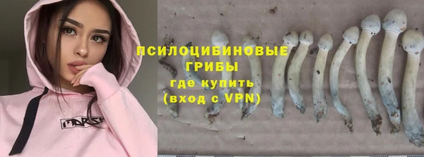 мяу мяу мука Аркадак