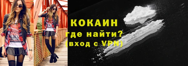 мяу мяу мука Аркадак