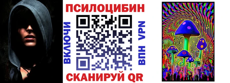 Галлюциногенные грибы Psilocybe  Унеча 